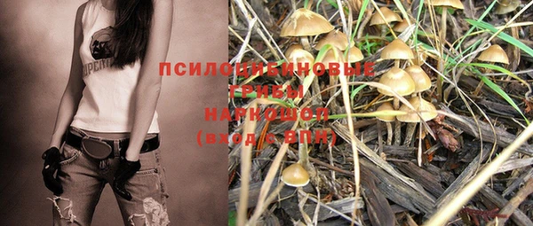 винт Баксан